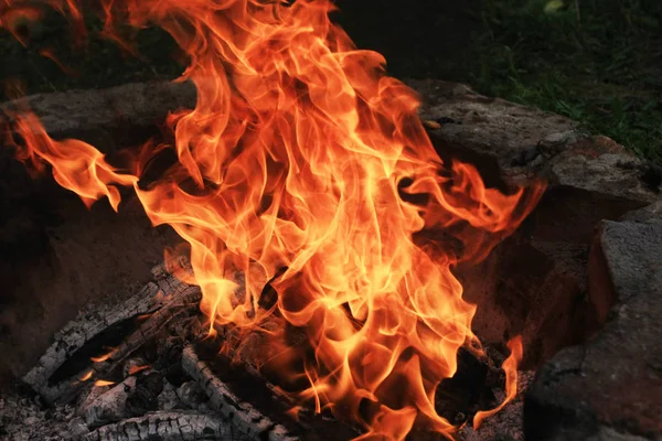 karanlıkta yanan kamp ateşinin yakın çekim çekimi