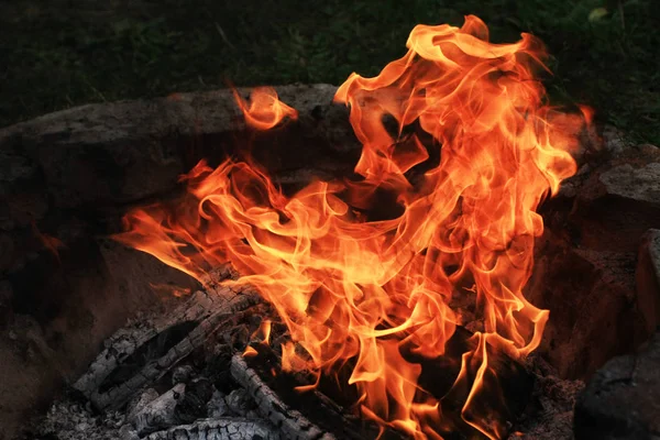 karanlıkta yanan kamp ateşinin yakın çekim çekimi