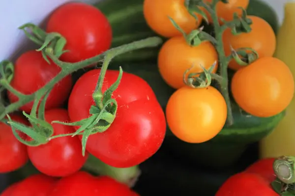 Primer Plano Pila Varias Verduras Maduras — Foto de Stock