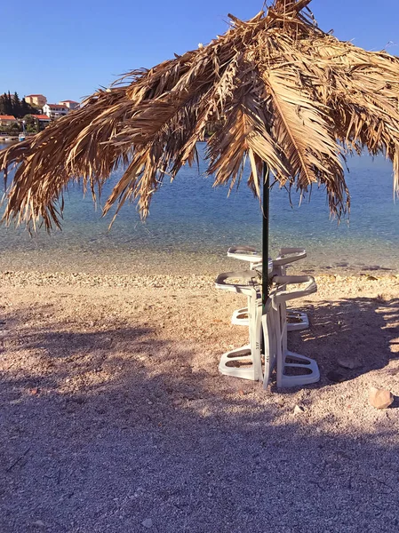 Scenic View Palm Tree Beach — Stock Photo, Image