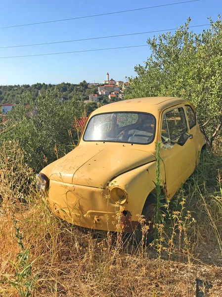 Vista Close Pequena Carcaça Carro Vintage Cultivada Por Ervas Daninhas — Fotografia de Stock
