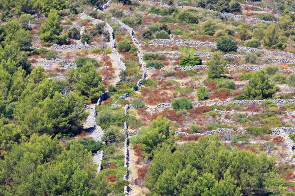 Γραφική Θέα Των Πέτρινων Φρακτών Στην Πλαγιά Του Λόφου Στην — Φωτογραφία Αρχείου