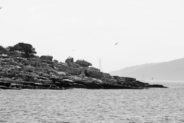 güneşli bir gün kayalık uçurumu ile güzel mavi deniz doğal çekim