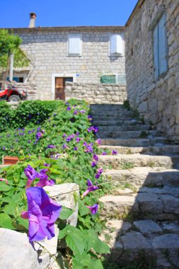 Turistik kasabanın şehir binalarının manzarası