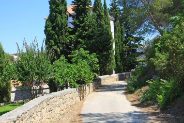 Parktaki güzel tropikal bahçenin manzarası