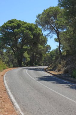 Parktaki boş yolun manzarası.