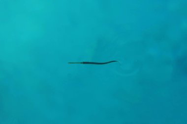 Turkuaz mavi su manzarası yakın çekim