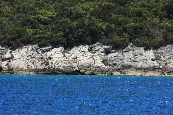 güneşli bir gün yeşil ağaçlar ile güzel mavi deniz ve kayalık sahil doğal çekim
