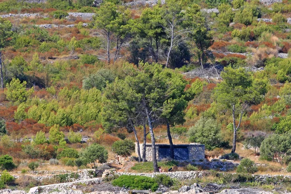 Blue Sea Hill Dry Trees Green Bushes Stone Building — ストック写真