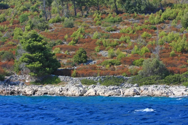 Живописный Каменистый Берег Зелеными Деревьями Красивым Голубым Морем Солнечный День — стоковое фото