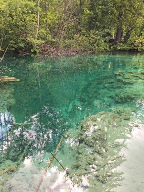 ormanda güzel küçük göl manzara çekim