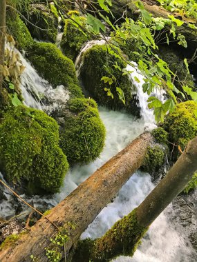 güzel dağ şelalesi doğal çekim