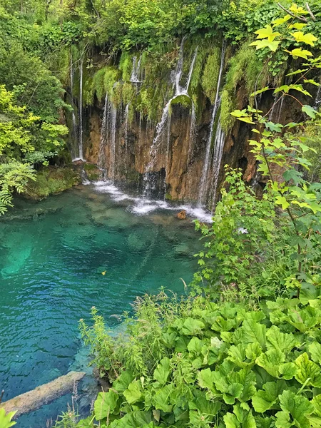 Scenic Shot Beautiful Small Lake Forest — Stock Photo, Image