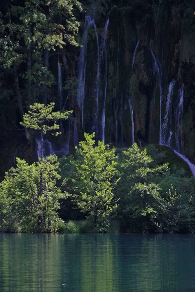 Scenic View Trees Lake Landscape — Stock Photo, Image