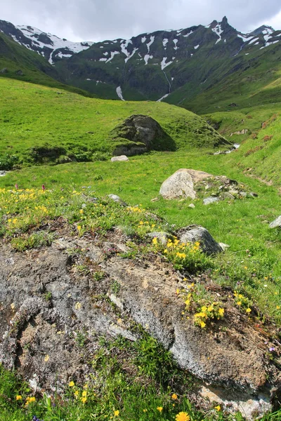 Tiro Cênico Bela Paisagem Montanha Verde — Fotografia de Stock