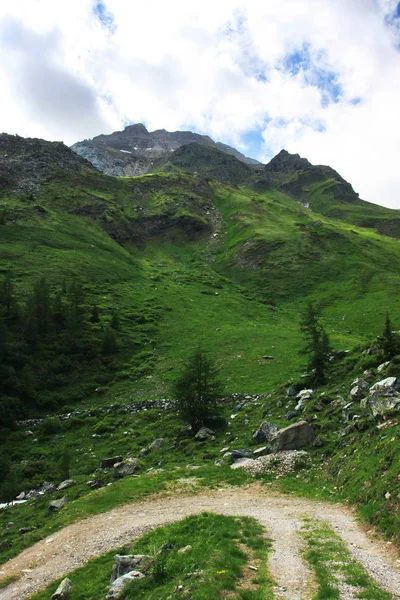 Мальовничий Знімок Красивого Зеленого Гірського Пейзажу — стокове фото