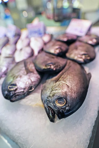 Close Shot Van Ongekookte Vis Ijsverkoop Markt — Stockfoto