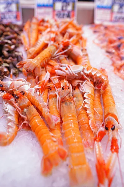 Close Shot Uncooked Shrimps Ice Selling Market — Stock Photo, Image