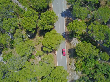 Orman ve yol manzaralı manzara