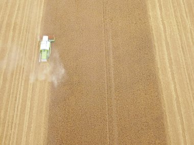 hasat makinesi ile tarım alanının doğal havadan görünümü 