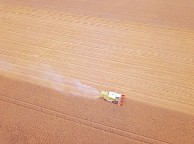 hasat makinesi ile tarım alanının doğal havadan görünümü 