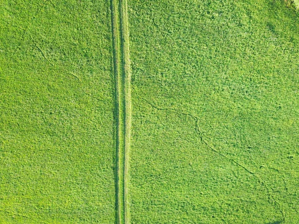 Живописный Вид Сверху Поле Сельского Хозяйства Полный Кадр Заднем Плане — стоковое фото