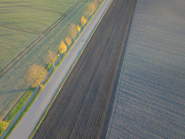 Vista Aérea Cênica Campo Agrícola — Fotografia de Stock