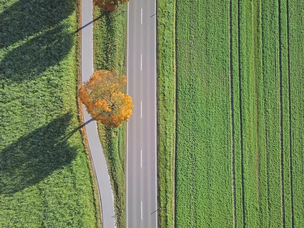 Vue Panoramique Sur Champ Agricole Route Asphaltée Prise Vue Plein — Photo