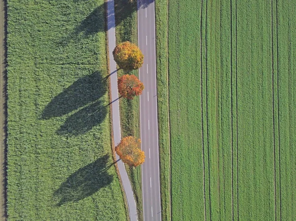 Vista Superior Cênica Campo Agricultura Estrada Asfalto Tiro Quadro Completo — Fotografia de Stock