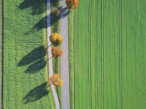 Vue Panoramique Sur Champ Agricole Route Asphaltée Prise Vue Plein — Photo