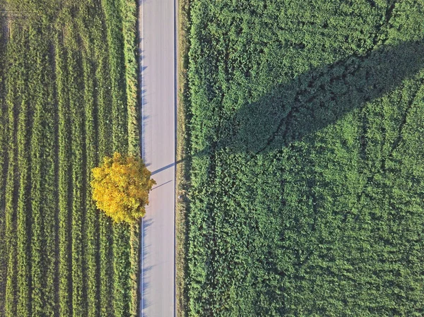 Vista Aérea Cênica Campo Agrícola — Fotografia de Stock