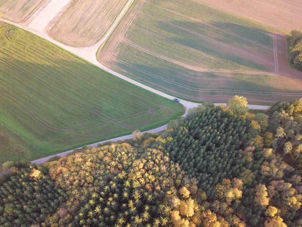 Vue Panoramique Paysage Forestier Aérien — Photo