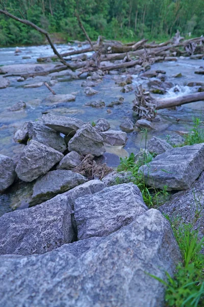 Живописный Вид Речной Пляж Камнями Поврежденными Стволами Деревьев — стоковое фото