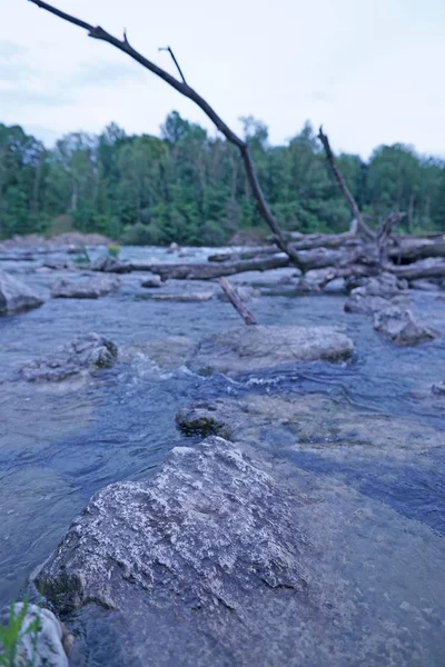 岩や損傷した木の幹と川のビーチの景色 — ストック写真