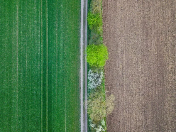 Scenic Top View Agriculture Field Asphalt Road Middle Full Frame — Stock Photo, Image