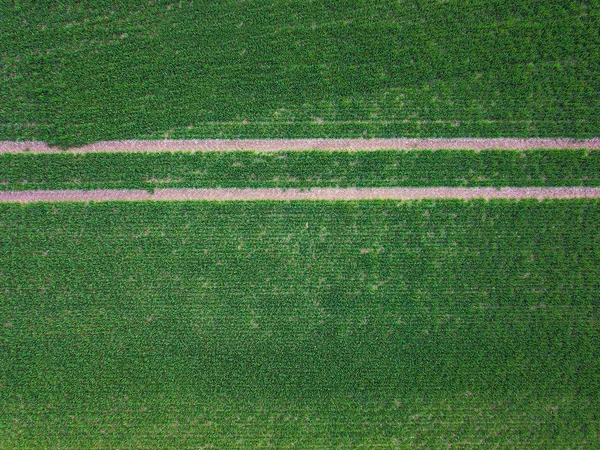 scenic top view of agriculture field, full frame shot for background