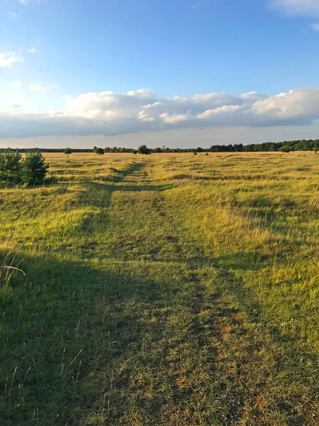 Vista Panorâmica Paisagem Campo Verde — Fotografia de Stock