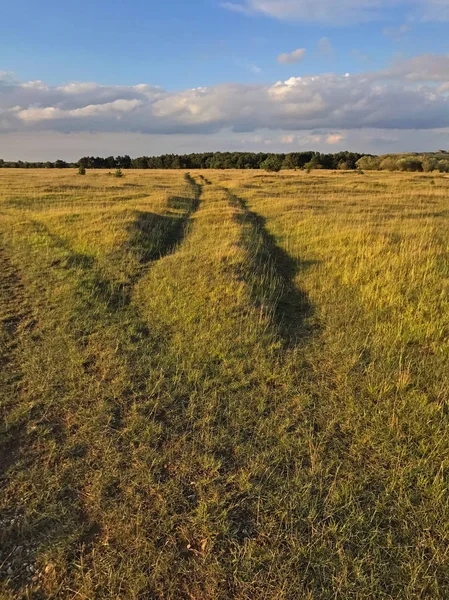 Scenic View Green Field Landscape — Stock Photo, Image