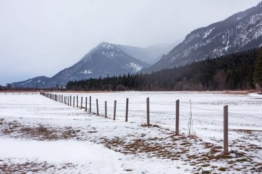 güzel karlı dağların sakin atış