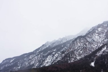 güzel karlı dağların sakin atış