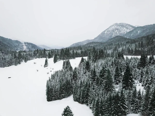 Rustige Shot Van Prachtige Besneeuwde Bergen — Stockfoto