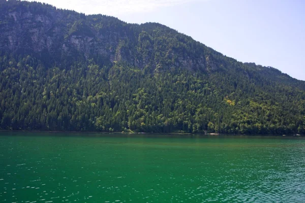 Живописный Вид Пейзаж Озером Соснами — стоковое фото