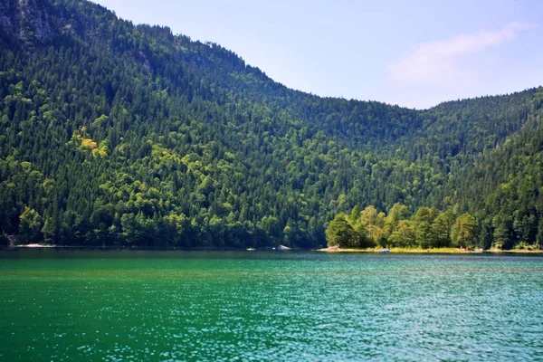 호수와 소나무로 뒤덮인 — 스톡 사진