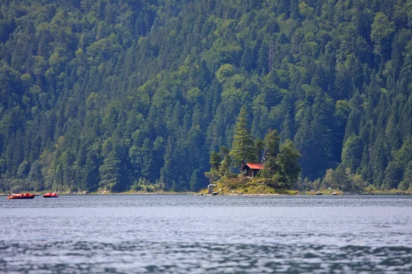 湖と松の木の景観 — ストック写真