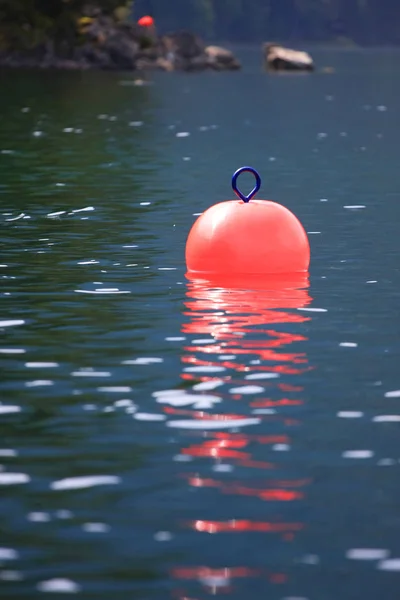 Vue Panoramique Sur Bouée Rose Dans Lac — Photo