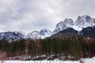 güzel karlı dağların sakin atış