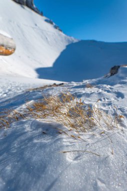 güzel karlı dağların sakin atış