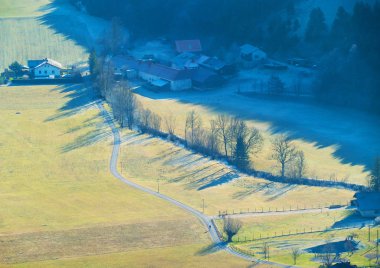 Ormanın sonbahar manzarası
