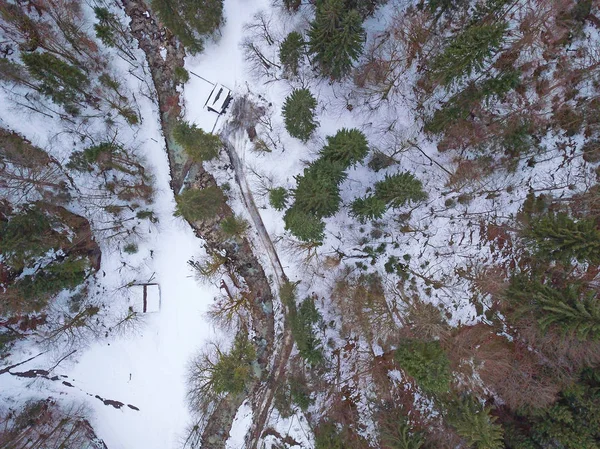 Εναέρια Άποψη Του Χειμερινού Τοπίου Δάσος — Φωτογραφία Αρχείου