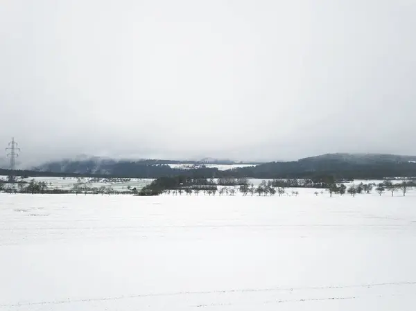 Malerischer Blick Auf Die Winterlandschaft Mit Bäumen — Stockfoto